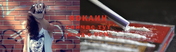стаф Россошь