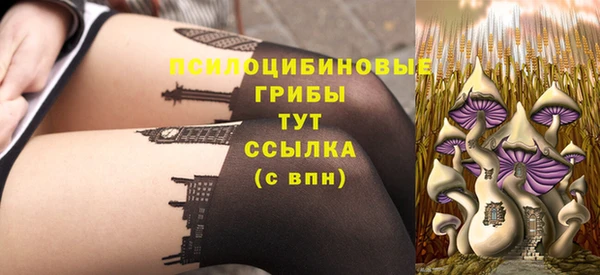 Альфа ПВП Алексин